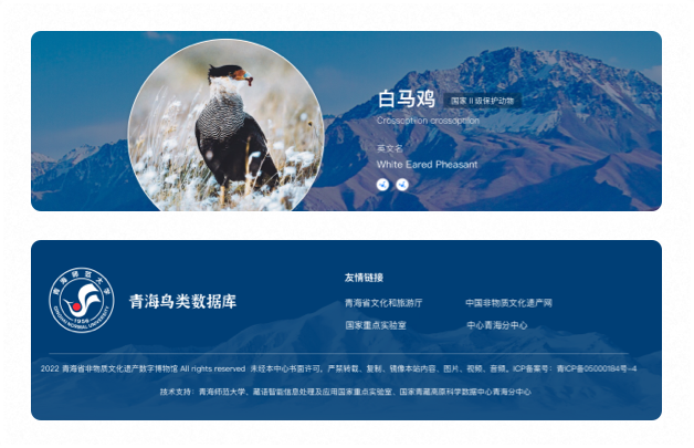 高端網(wǎng)站設(shè)計