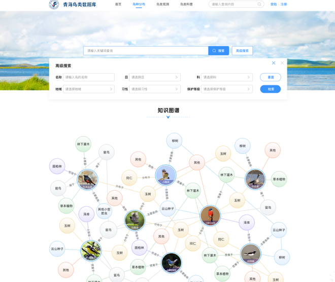 青海鳥類資源庫網(wǎng)站交互及UI設(shè)計(jì)